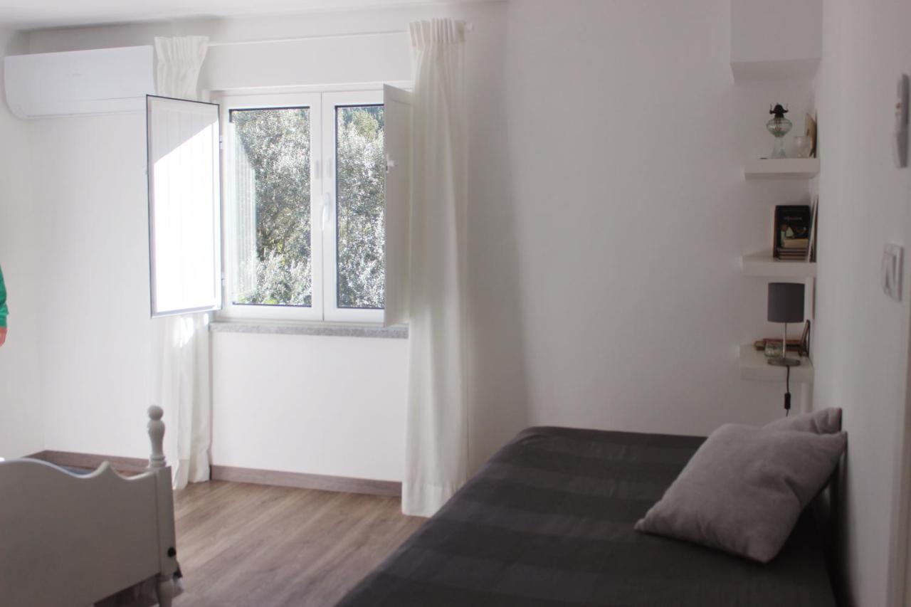 Casas D'Almofala Vila de Rei Kültér fotó